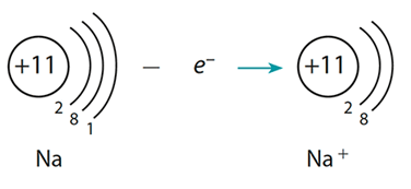 0901ln6b-946b-376x173.png