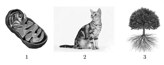 0901lnuj-1a72-575x228.png