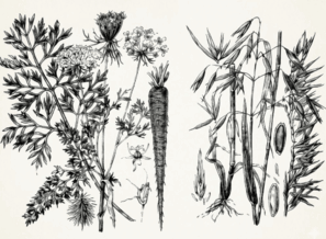 0901lo1j-5264-291x214.png