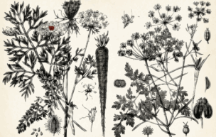 0901lo28-a798-304x193.png