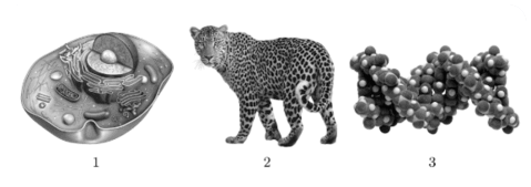 0901lof7-55ab-425x150.png