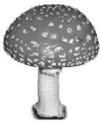 0901loq9-6095-145x175.png