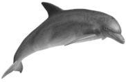 0901loqx-324c-182x119.png