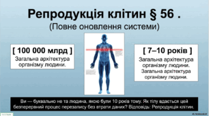 Презентація на тему "Репродукція клітин". 10 клас