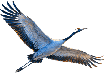 0901lqpx-41ae-355x245.png