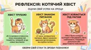 Рефлексія (котики)