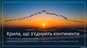 10 травня - Всесвітній день перелітних птахів