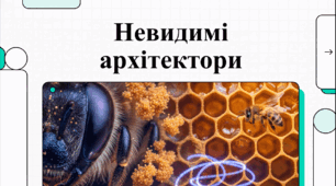 Відеоогляд "20 травня - Всесвітній день бджіл"