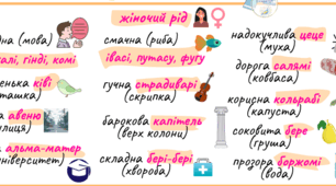 Незмінні слова. Рід незмінюваних іменників