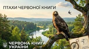 Пазл "Птах "Червоної книги України"