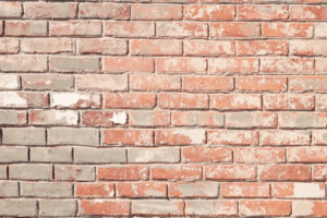 0901lz2e-c4b6-300x200.png