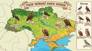 З'єднувальник "Птахи Червоної книги України"