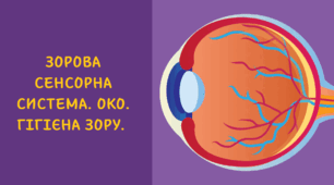 Зорова сенсорна система. Око. Гігієна зору.