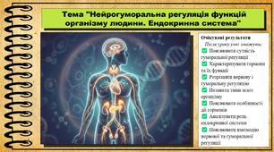 Нейрогуморальна регуляція функцій організму людини. Ендокринна система. Біологія. 8 клас. До підручника Тагліна О., Самойлов А. та ін.
