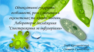 Одноклітинні еукаріоти: особливості, роль і значення в екосистемах та житті людини. Лабораторне дослідження “Спостереження за інфузоріями»