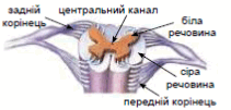 0901m4xb-bdb3-431x206.png