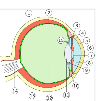 0901m7kr-b4af-357x352.png
