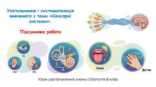 Презентація з біології: Узагальнення і систематизація вивченого з теми «Сенсорні системи». Підсумкова робота 8 клас НУШ.
