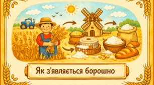 Проєкт "Як з’являється борошно"
