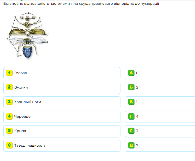 0901m9v0-d6b7-654x540.png