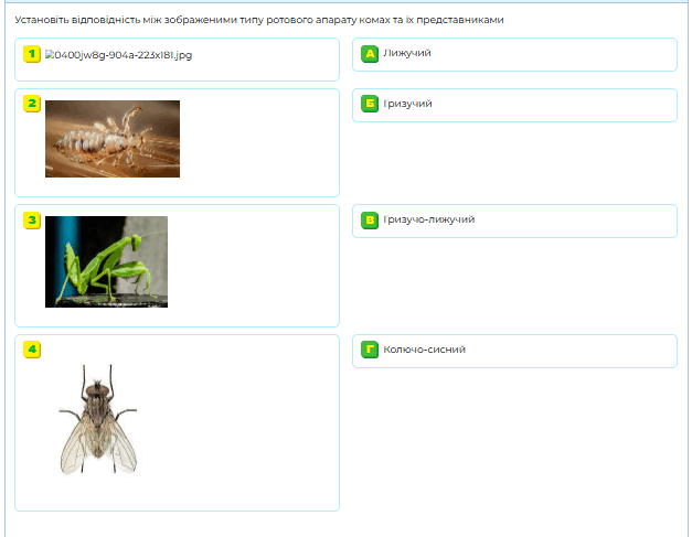 0901m9xo-06f2-843x655.png