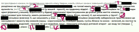 0901ma4y-cd51-891x204.png