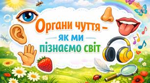 Презентація «Органи чуття — як ми пізнаємо світ»