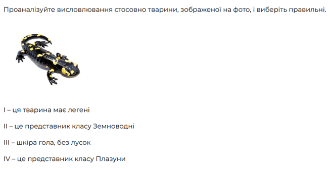 0901mazq-a8e2-842x432.png