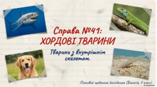 Хордові