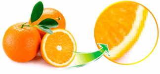 0901mfek-8b89-324x150.png