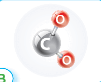 0901mfmt-8826-199x161.png
