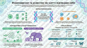Різноманітність способів розмноження й розвитку організмів.
