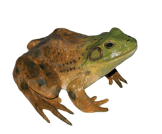 0901mhbw-49b7-323x268.png