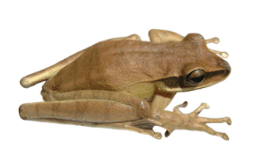 0901mhd8-9807-374x216.png