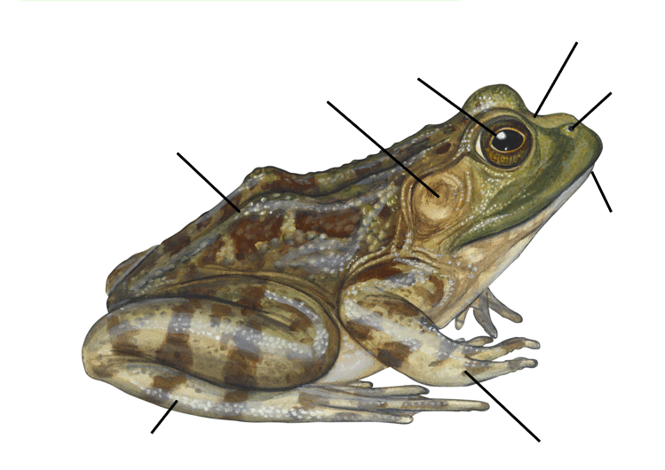 0901mhh7-8f18-749x530.png