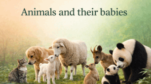 Animals and their babies