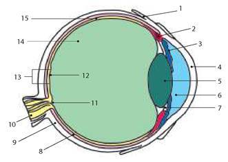 0901mnp4-539c-480x342.jpg