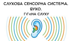 Презентація: "Слухова сенсорна система. Вухо. Гігієна слуху" біологія 8 клас НУШ