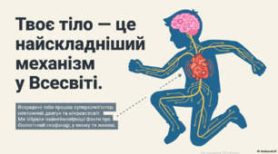 Анатомія див: вражаючі факти про людське тіло