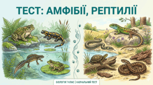 Амфібії. Рептилії