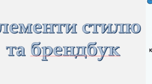 Презентація "Елементи стилю та брендбук" Д.Е. Біос