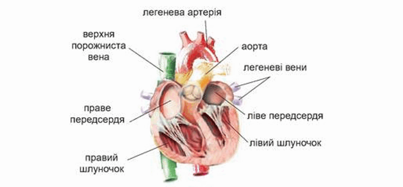 0901mruj-d3c0-803x373.png