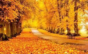 0901msl2-8fa3-286x176.jpg