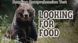Looking for Food