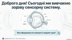 Зорова сенсорна система. Око 8 клас НУШ