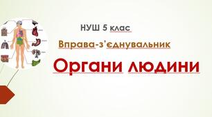 З'єднувальник "Органи людини"
