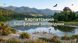Карпатський біосферний заповідник