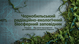 «Чорнобильський радіаційно-екологічний біосферний заповідник»