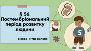 Презентація  до уроку «§ 56. Постембріональний період розвитку людини»  8клас   НУШ