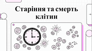 Матеріали до уроку. 🧬⏳💀Старіння та смерть клітин. Причини порушення клітинного циклу та їхні наслідки.